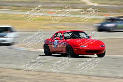 media/May-24-2025-Turn8 Trackdays (Sat) [[034586b55d]]/5 Inter 1/Session 2 (Cotton Corners-Grapevine)/